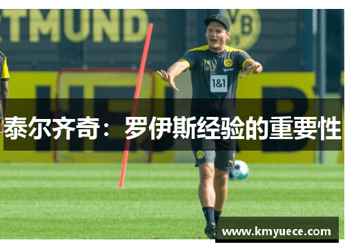 泰尔齐奇:罗伊斯经验的重要性